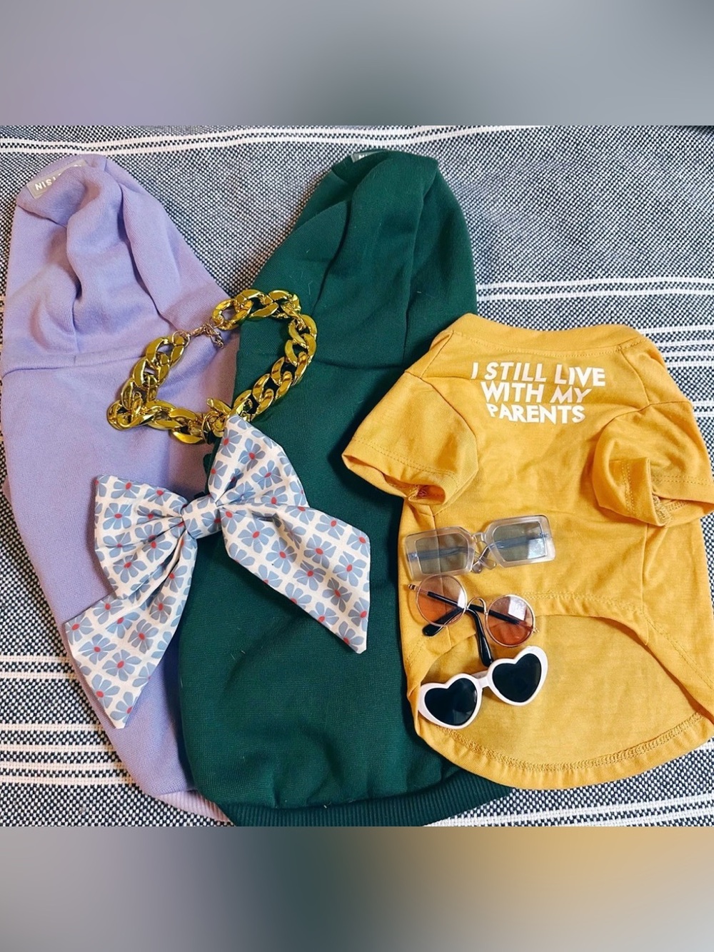 Bundle of streetwear pet clothing and accessories hoodies bow chain jewelry tee